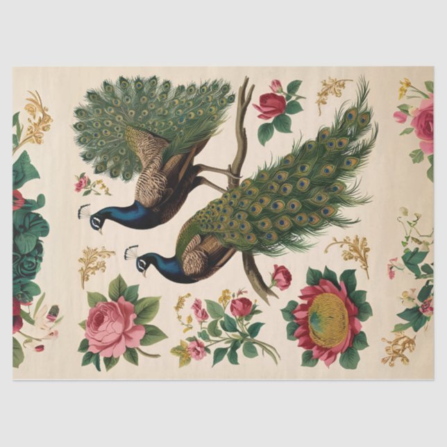 Vintages Peacock Duo Entdeckungsseiten-Tissue Pape Seidenpapier (Vorderseite)