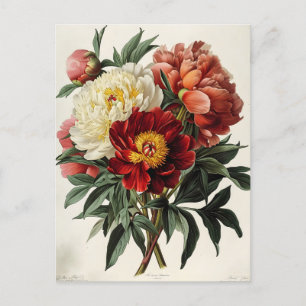 Vintages Peony: Zeitlose Blumendekoration Postkarte