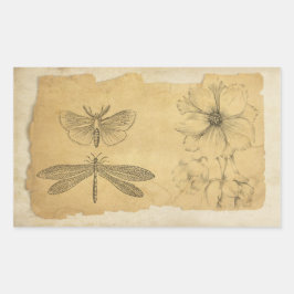 Vintages Pergament Collage Scrapbook Rechteckiger Aufkleber