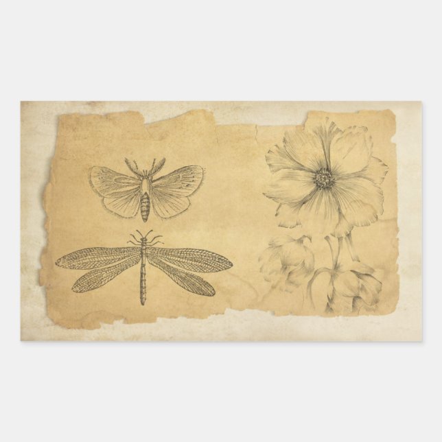 Vintages Pergament Collage Scrapbook Rechteckiger Aufkleber (Vorderseite)