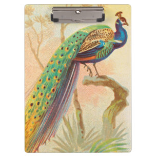 Vintages Pfau auf einem Ast-Gemälde Klemmbrett