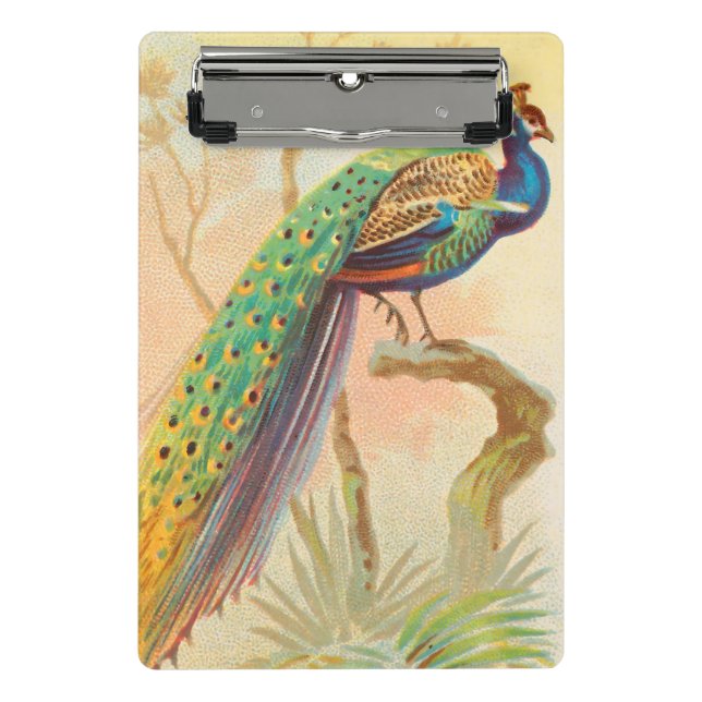 Vintages Pfau auf einem Ast-Gemälde Mini Klemmbrett (Vorderseite)