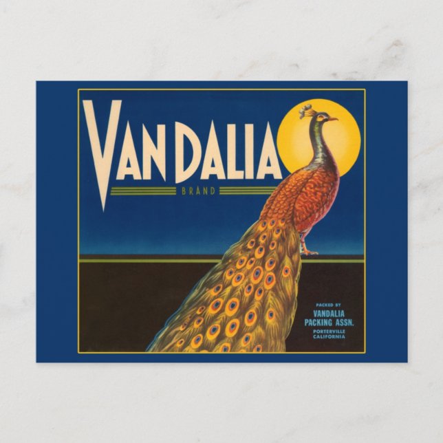 Vintages Pfauenfruchtkastensiegel Postkarte (Vorderseite)