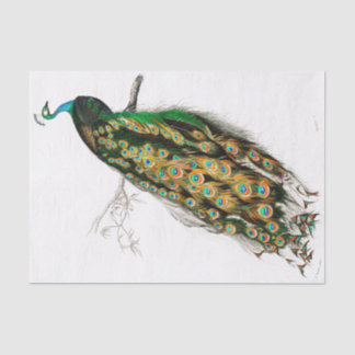 Vintages Pfauengeflechtpapier Seidenpapier