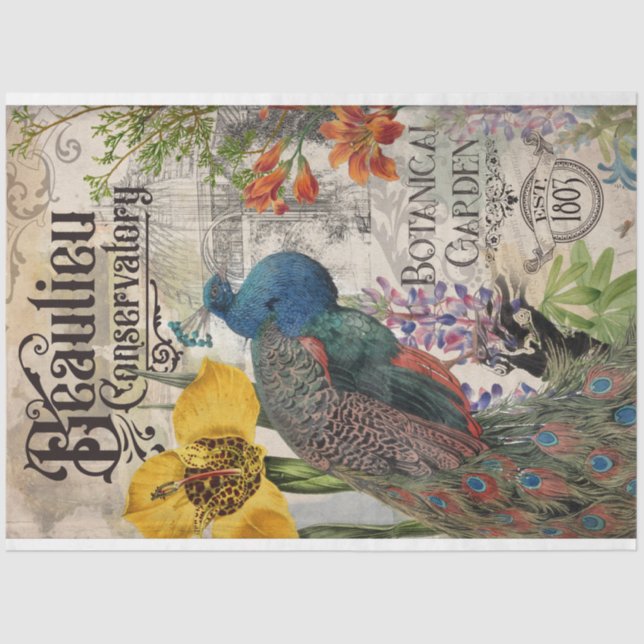 Vintages Pfauengeflechtpapier Seidenpapier (Vorderseite)