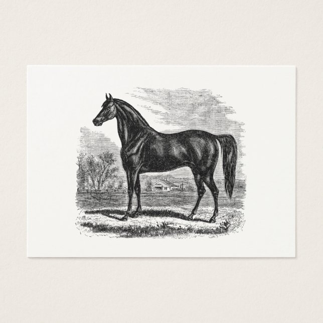 Vintages Pferd aus den 1800er Jahren - Pferdevorla (Vorderseite)