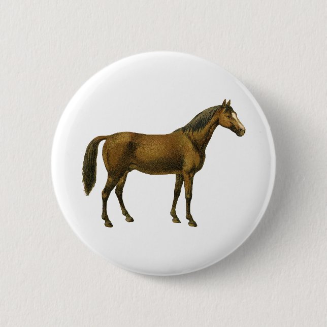 Vintages Pferd Button (Vorderseite)