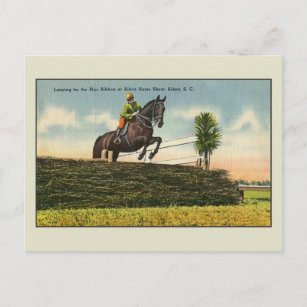 Vintages Pferd Jumping Aikin SC Postkarte