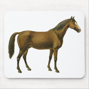 Vintages Pferd Mousepad