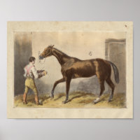 Vintages Pferd Print 1873 Thormanby