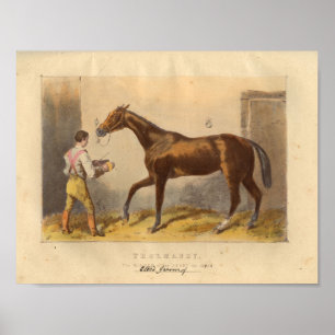 Vintages Pferd Print 1873 Thormanby Poster