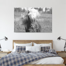 Vintages Pferd Schwarz und Weiß