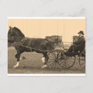Vintages Pferd und Beförderung in Sepia Postkarte