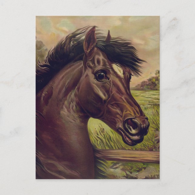 Vintages Pferdesportrait 1893 zum Blutprinzen Postkarte (Vorderseite)