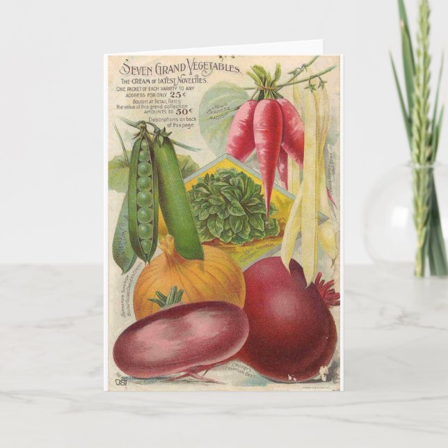 Vintages Pflanzensaatgut, Karte (Vorderseite)