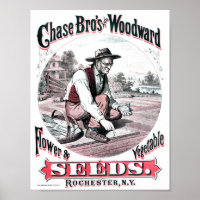 Vintages Plakat für Saatgutwerbung