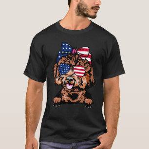 Vintages Poodle mit US-Sonnenbrille und US-amerika T-Shirt