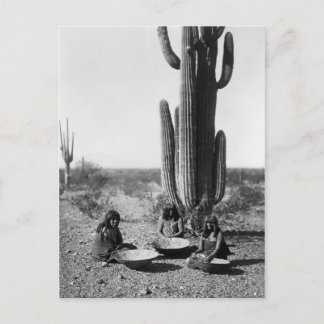 Vintages Portrait eines nativen Amerikanischen Ure Postkarte