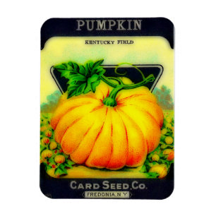Vintages Pumpkin Seeds Packet - Magnet