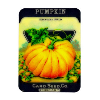 Vintages Pumpkin Seeds Packet - Magnet
