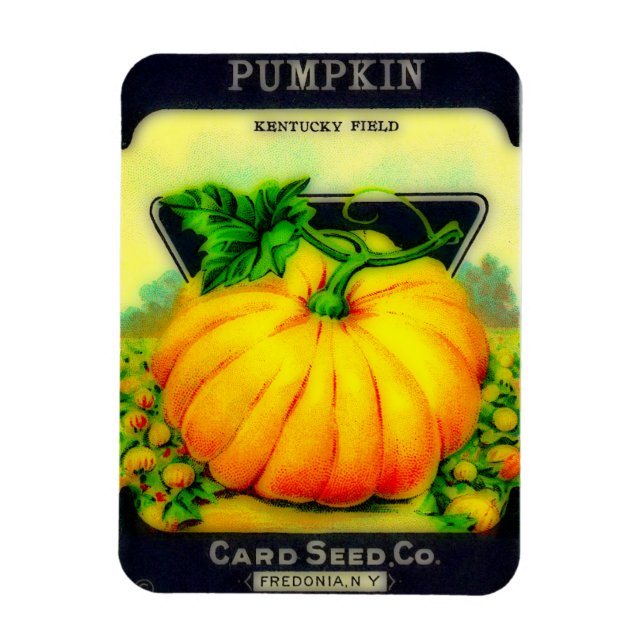 Vintages Pumpkin Seeds Packet - Magnet (Vertikal)