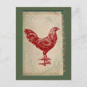 Vintages Red Rooster Shabby Chic Grunge Chicken Postkarte