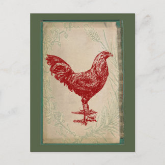 Vintages Red Rooster Shabby Chic Grunge Chicken Postkarte