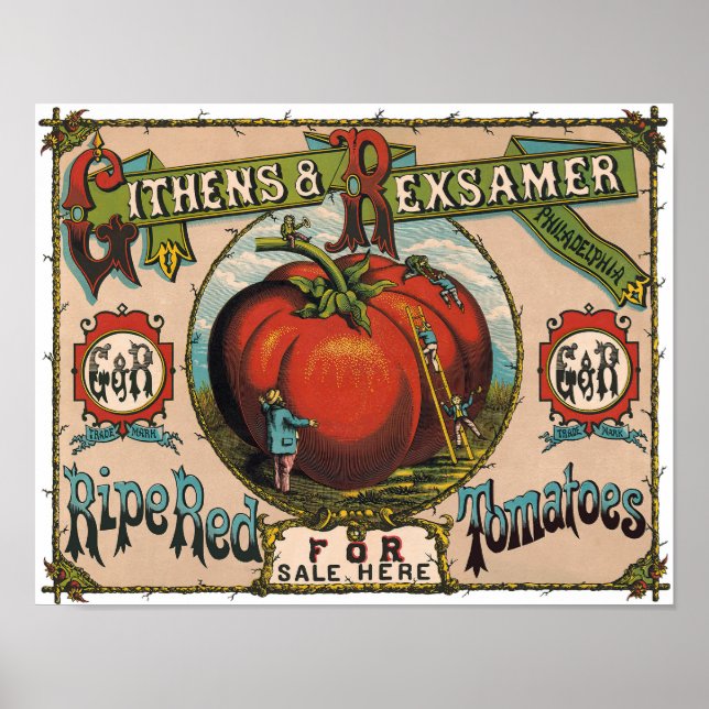 Vintages Reif-Tomaten-Poster Poster (Vorne)