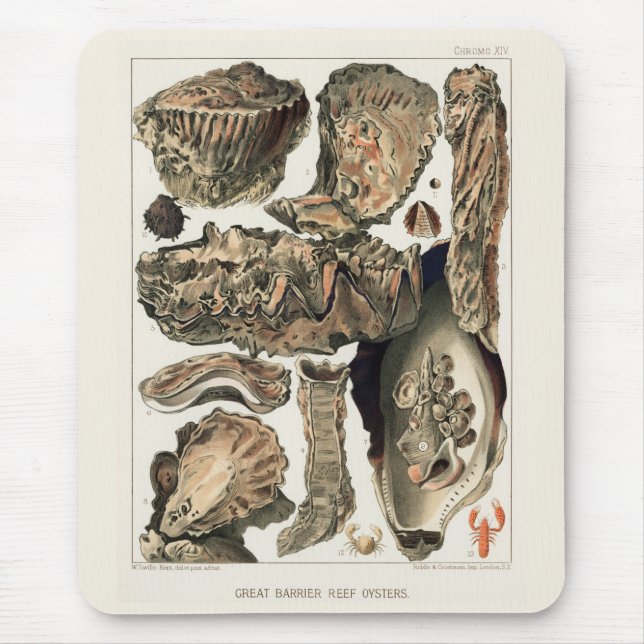 Vintages Riff der australischen Austern Mousepad (Vorne)