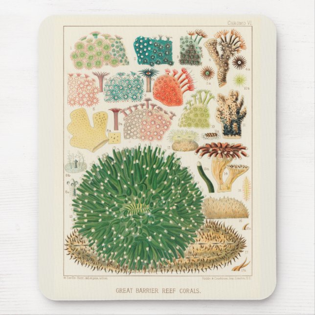 Vintages Riff der australischen Korallen Mousepad (Vorne)
