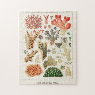 Vintages Riff der australischen Korallen Puzzle