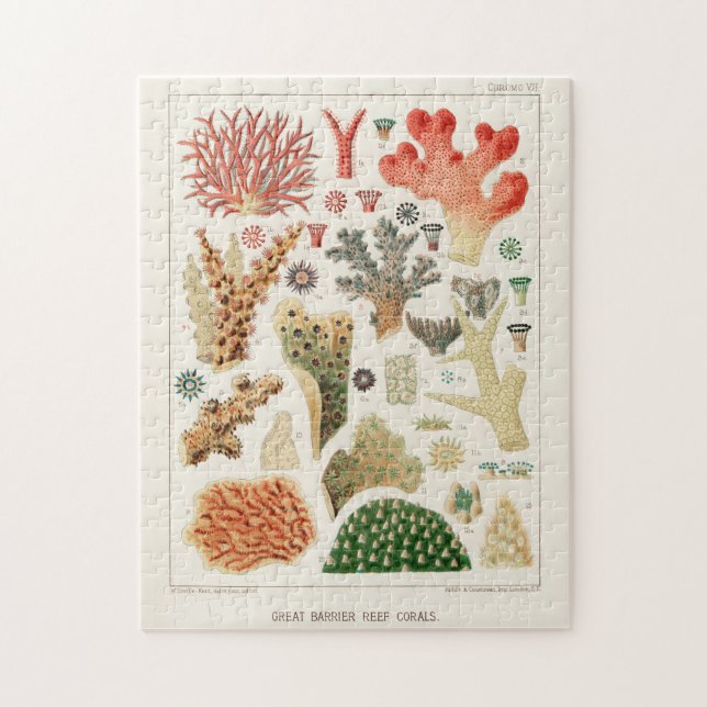 Vintages Riff der australischen Korallen Puzzle (Vertikal)