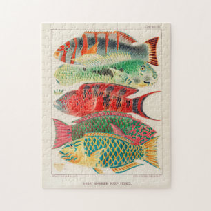 Vintages Riff der Great Barrier Reef aus Australie Puzzle