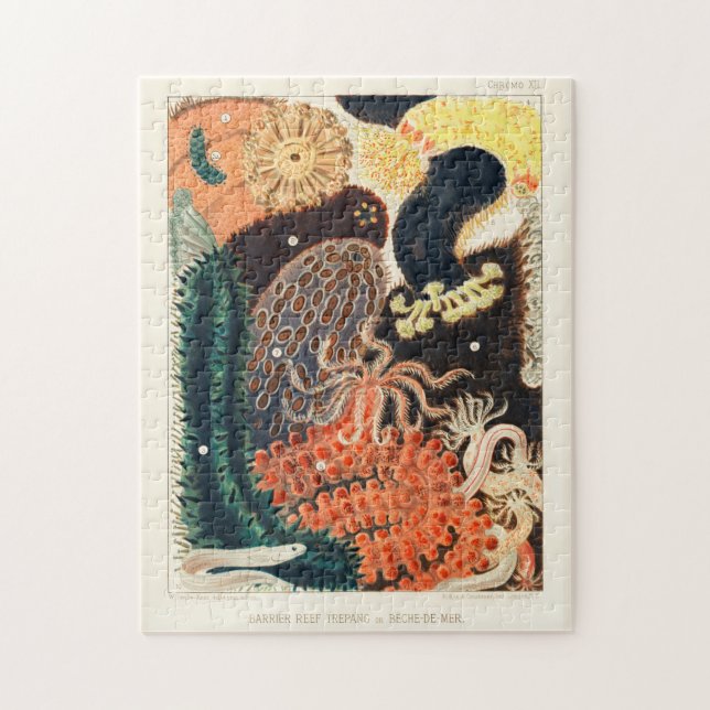 Vintages Riff Trepang oder Bêche-de-Mer Puzzle (Vertikal)