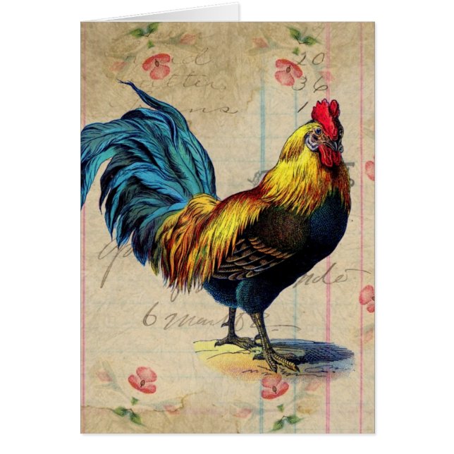 Vintages Rooster (Vorne)