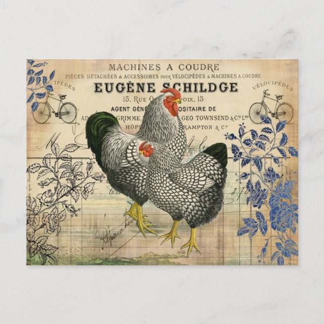 Vintages Rooster und Hen Ephemera Postkarte (Vorderseite)