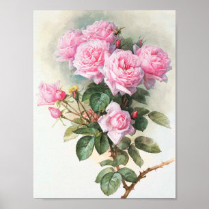 Vintages rosa Rosen-Malen Poster