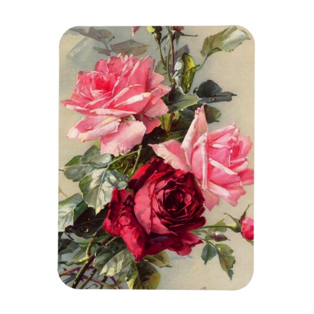 Vintages Rosa und Rote Rosen Magnet (Vertikal)