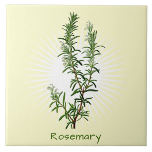 Vintages Rosemary Herb Keramik Fliese