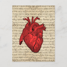 Vintages Rotes Herz Postkarte