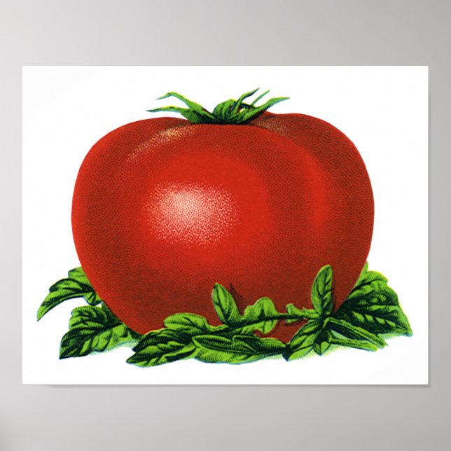 Vintages rotes Tomaten, Gemüse und Obst Poster (Vorne)