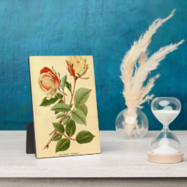 Vintages Rotes Zitronenmeer Teezeremonie Rose Safr Fotoplatte