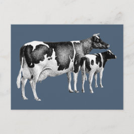 Vintages Rustikales Rinderkalb, das Blauweiß Zeich Postkarte