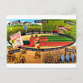 Vintages Saatgut Postkarte