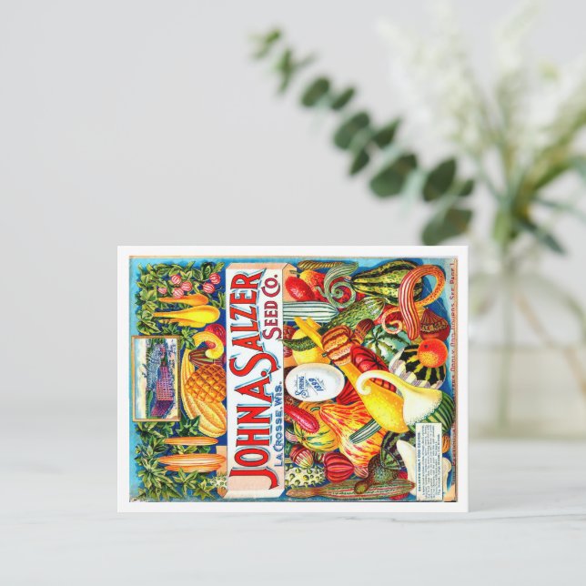 Vintages Saatgut Postkarte (Stehend Vorderseite)