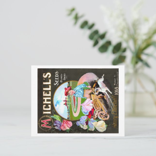 Vintages Saatgut Postkarte (Stehend Vorderseite)