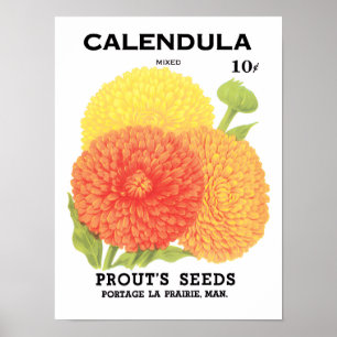 Vintages Saatgutpackungs-Label Art, Calendula-Blum Poster