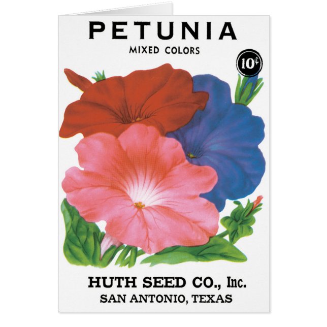 Vintages Saatgutpackungs-Label Art, Petunia-Blume (Vorne)
