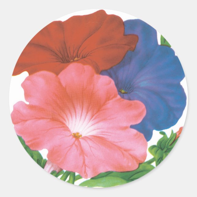 Vintages Saatgutpackungs-Label Art, Petunia-Blume Runder Aufkleber (Vorderseite)