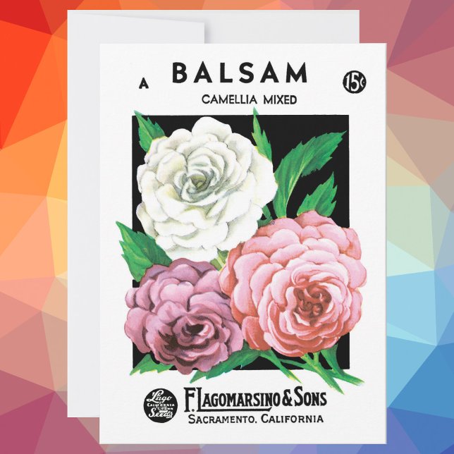 Vintages Saatgutpackungs-Label Kunst, Kamelien, Bl (Von Creator hochgeladen)